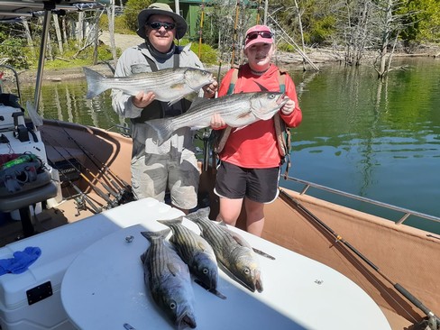 Nice Striped Bass